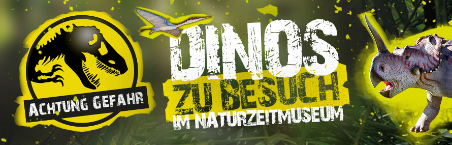 Dinoausstellung im NatUrzeitmuseum Bad Sachsa